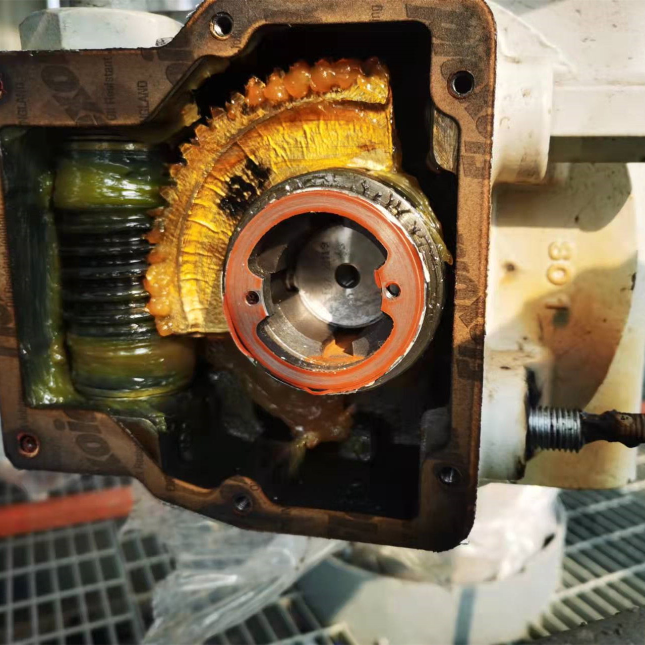 On site maintenance of CNOOC Jiangsu Binhai LNG terminal